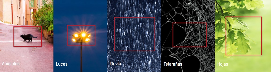 Las cámaras IP y NVR Hikvision con Motion detection 2.0 se centran únicamente en el movimiento de personas y vehículos